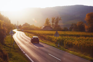 Mountain Road Road Through The Vineyards At Sunset. Wachau Valley"n